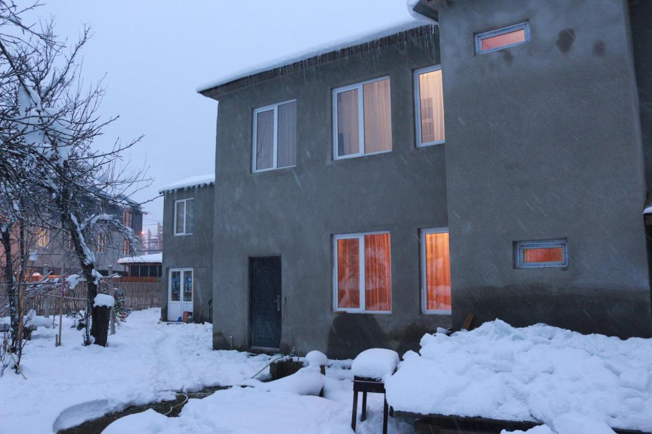 Inga Jafaridze Guesthouse Pele Mestia Buitenkant foto
