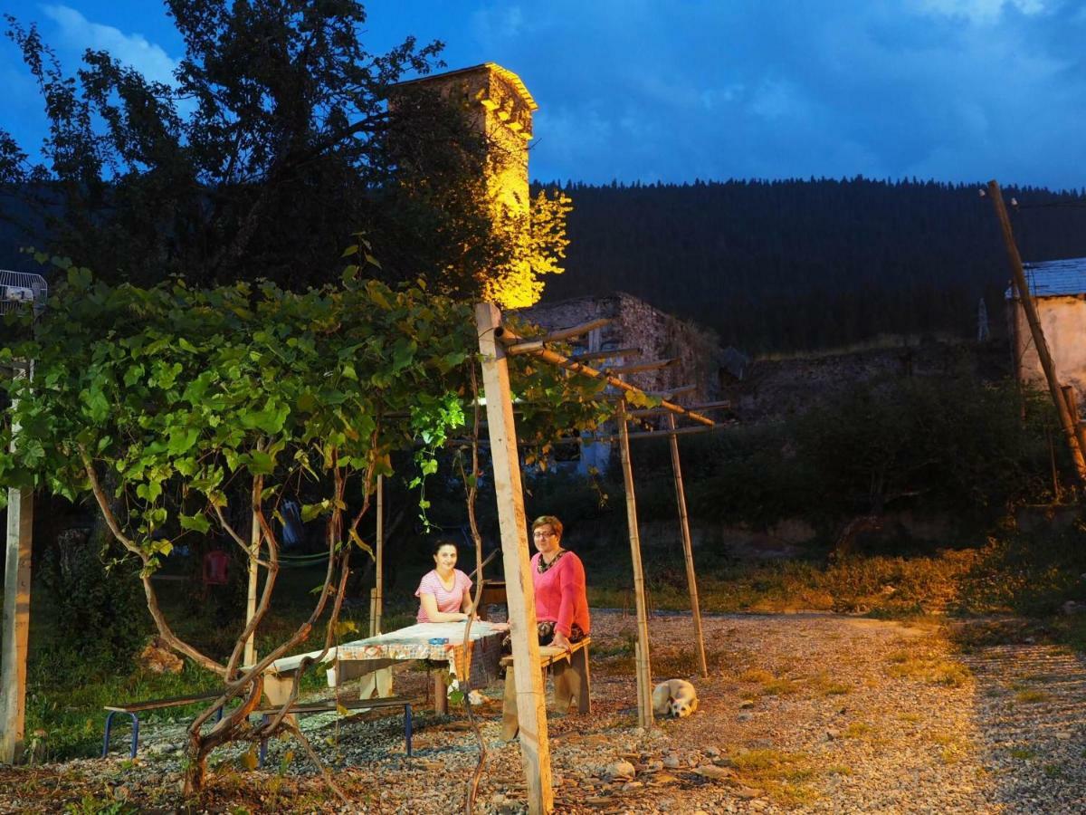 Inga Jafaridze Guesthouse Pele Mestia Buitenkant foto